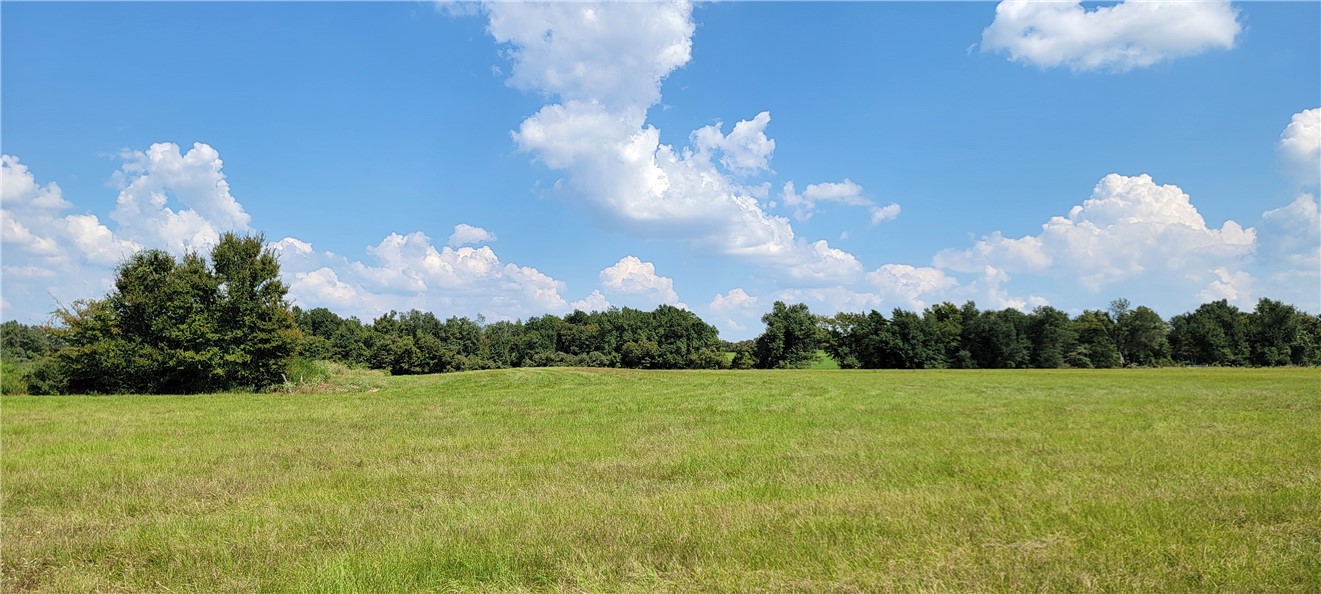 4409 Old Boone Prairie Road Franklin, TX 77856 - Photo 29 of 33 a view of a green yard