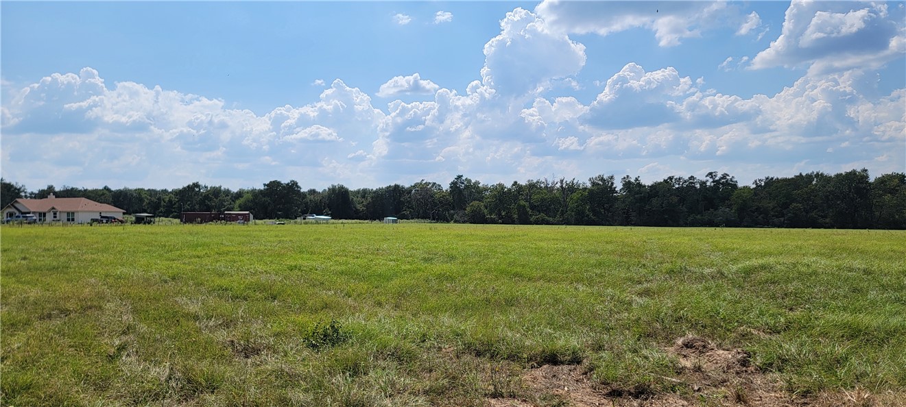 4409 Old Boone Prairie Road Franklin, TX 77856 - Photo 3 of 33 a view of yard with green space