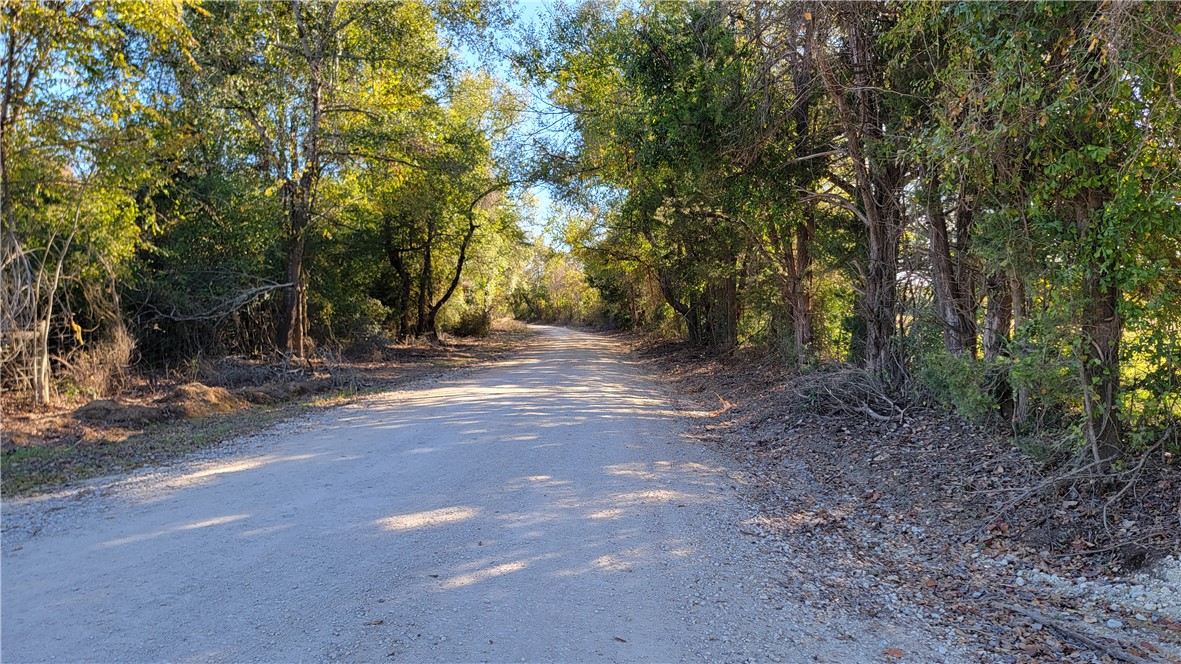 4409 Old Boone Prairie Road Franklin, TX 77856 - Photo 32 of 33 a view of outdoor space with trees