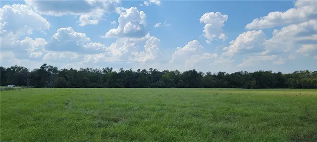 a view of grassy field and trees
