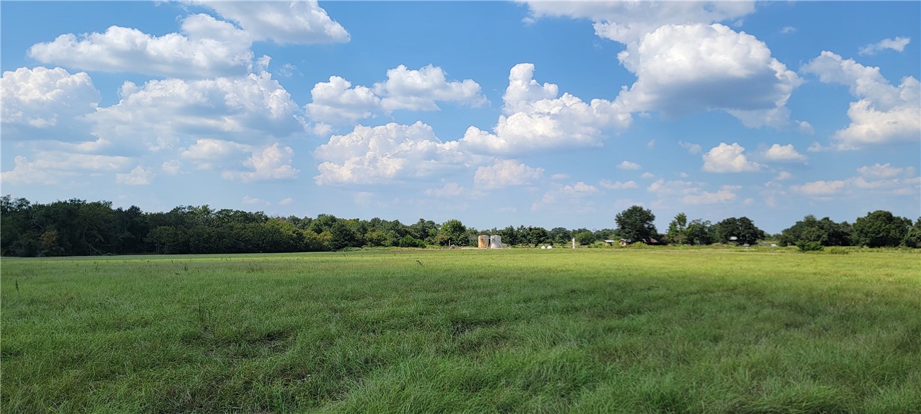 4409 Old Boone Prairie Road Franklin, TX 77856 - Photo 6 of 33 a view of grassy field and trees