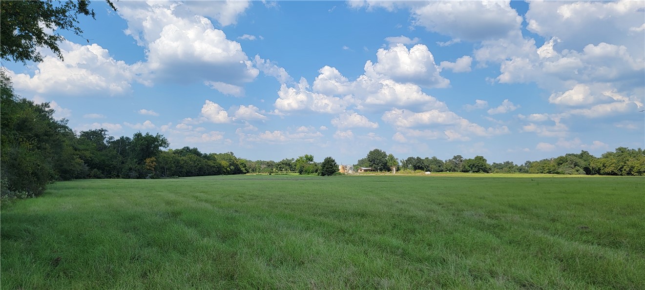 4409 Old Boone Prairie Road Franklin, TX 77856 - Photo 7 of 33 a view of a big yard with lots of green space