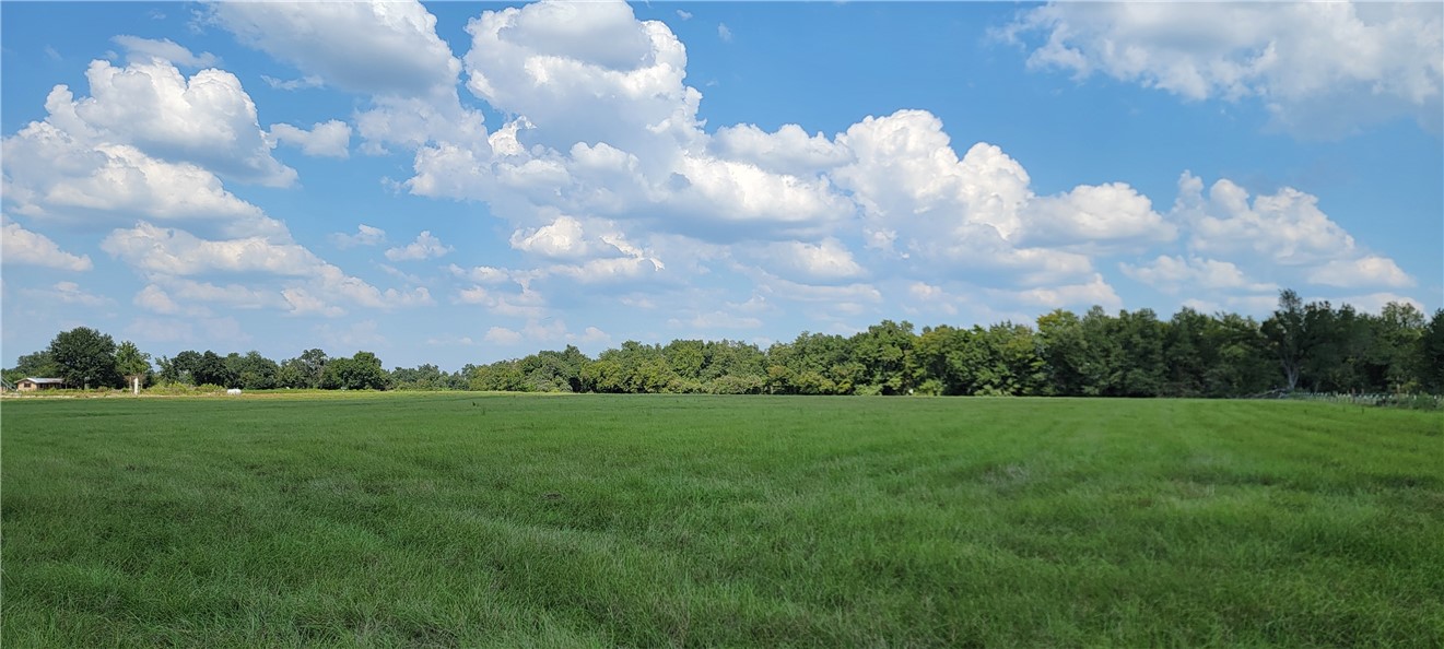 4409 Old Boone Prairie Road Franklin, TX 77856 - Photo 8 of 33