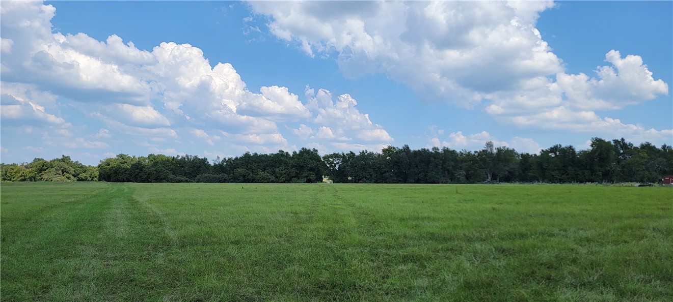 4409 Old Boone Prairie Road Franklin, TX 77856 - Photo 9 of 33 a view of field with trees in the background