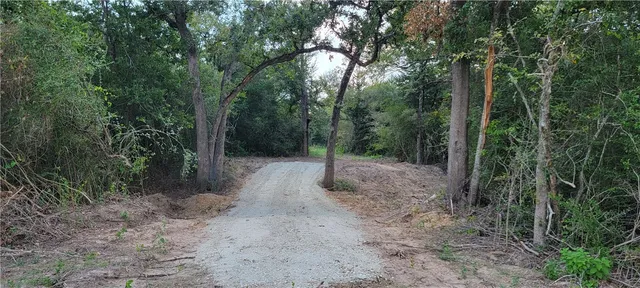 a view of a yard with plants and trees