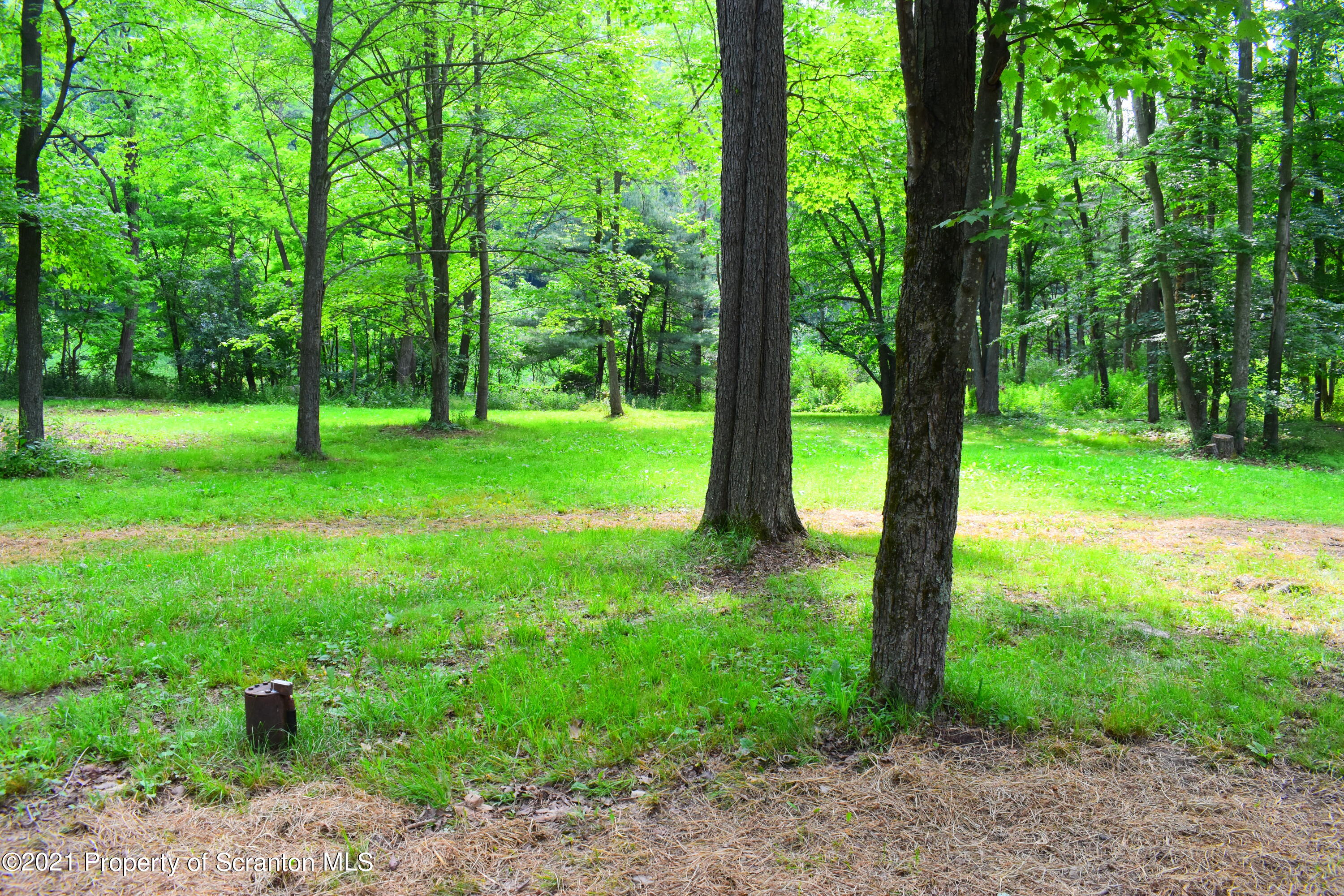 104 Airport Road Hallstead, PA 18822 - Photo 43 of 50 a view of a garden with a tree