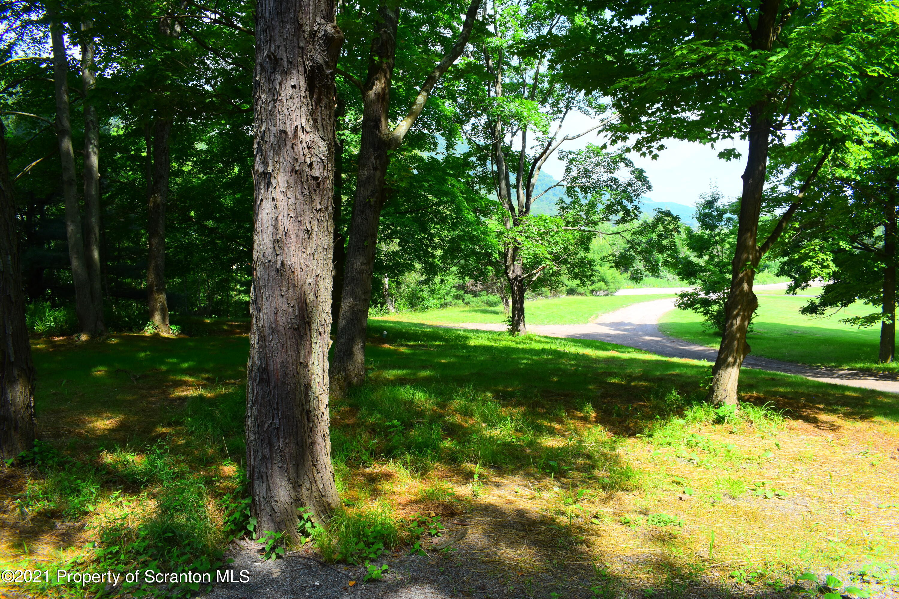 104 Airport Road Hallstead, PA 18822 - Photo 46 of 50 a view of a yard with a tree