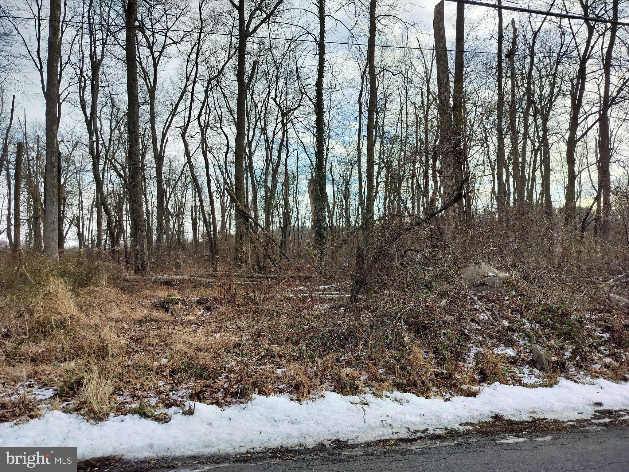 147 Rocktown Road Ringoes, NJ 08551 - Photo 3 of 15 Property line on Rocktown Rd.