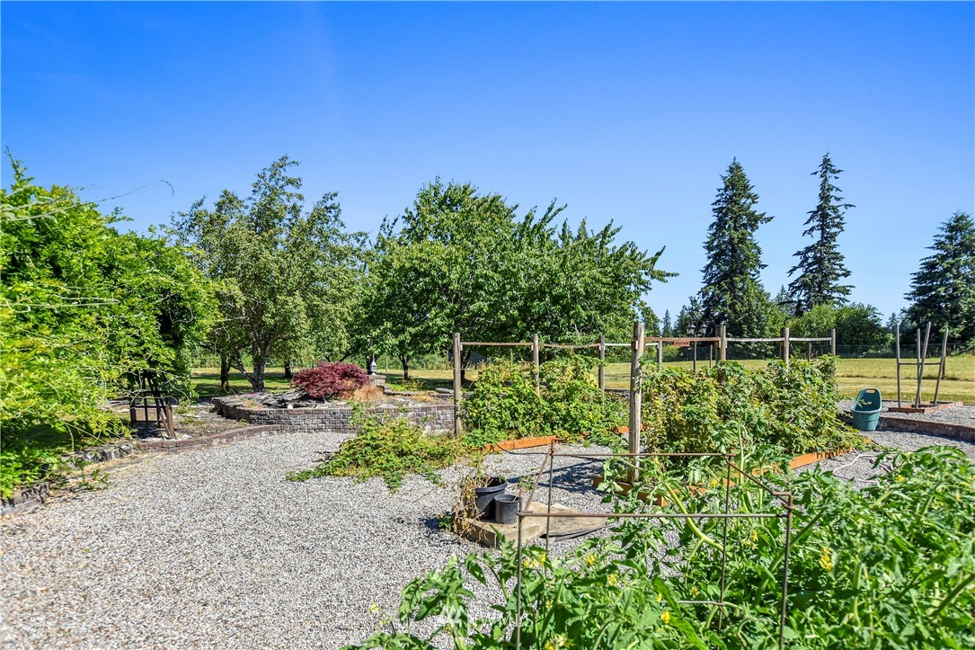 555 Quick Road Castle Rock, WA 98611 - Photo 20 of 23 Gallery Image 20