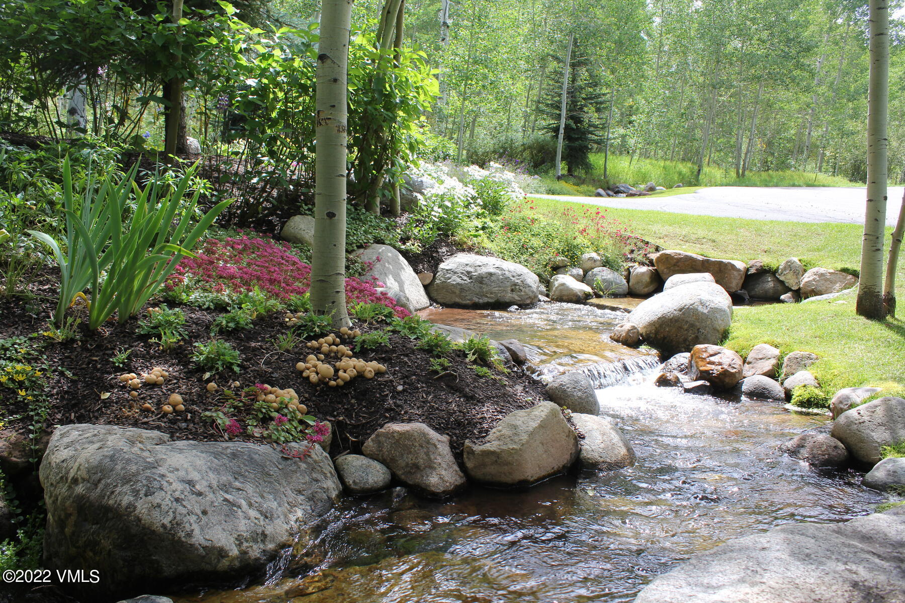 157 Pilgrim Drive Edwards, CO 81632 - Photo 5 of 29 a view of a garden and patio