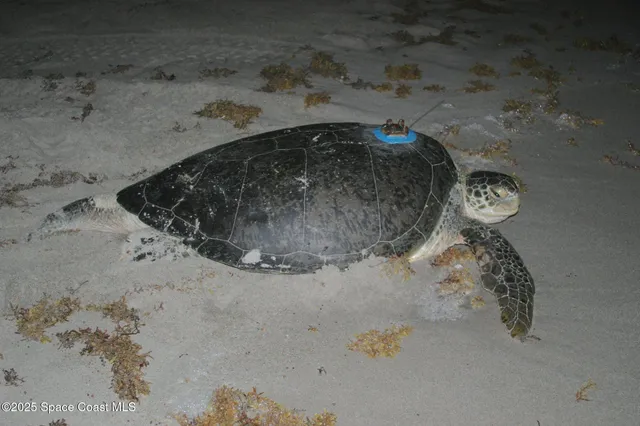 $3,200 | 129 Signature Drive, Melbourne Beach, FL 32951