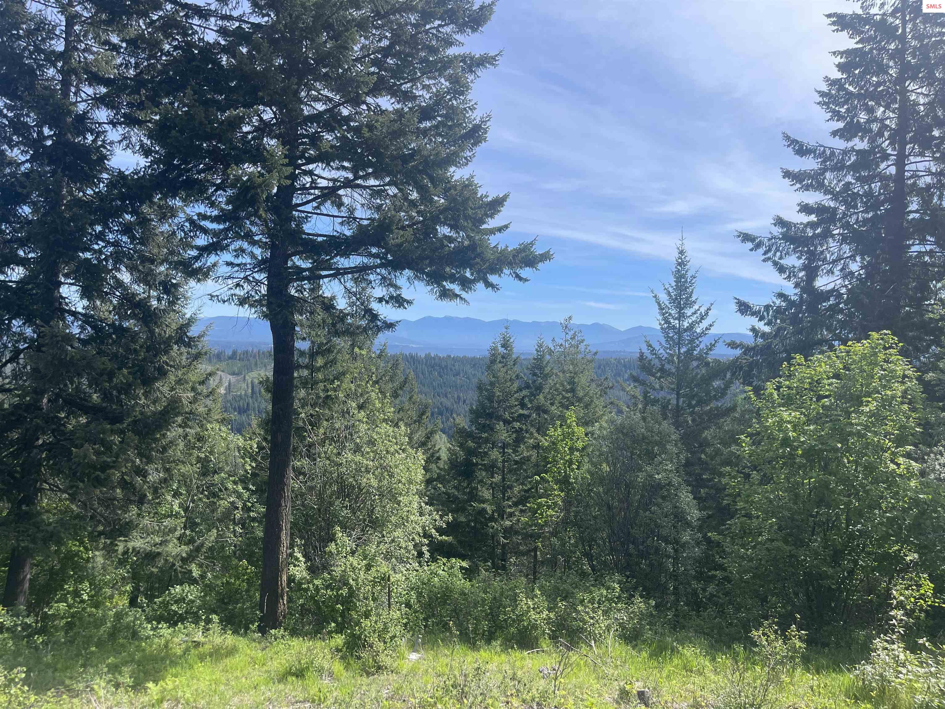 1684 Lions Den Road Bonners Ferry, ID 83805 - Photo 7 of 53 Gallery Image 7