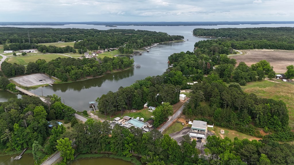 0 Hudspeth Drive Abbeville, AL 36310 - Photo 9 of 15