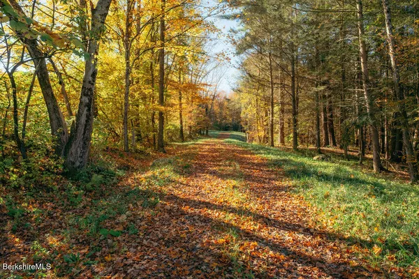 a view of a yard with trees