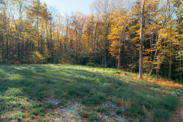 a view of a yard with large trees