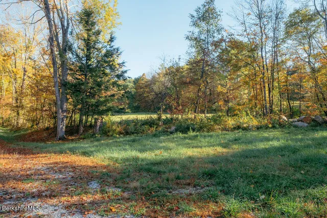 a view of outdoor space and yard