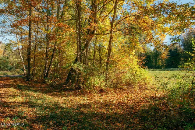 a view of outdoor space and garden