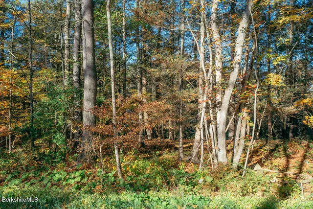a view of backyard with green space