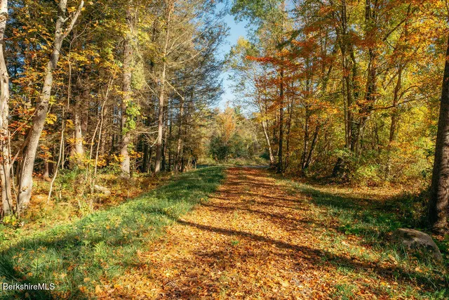 a view of a yard with plants and trees