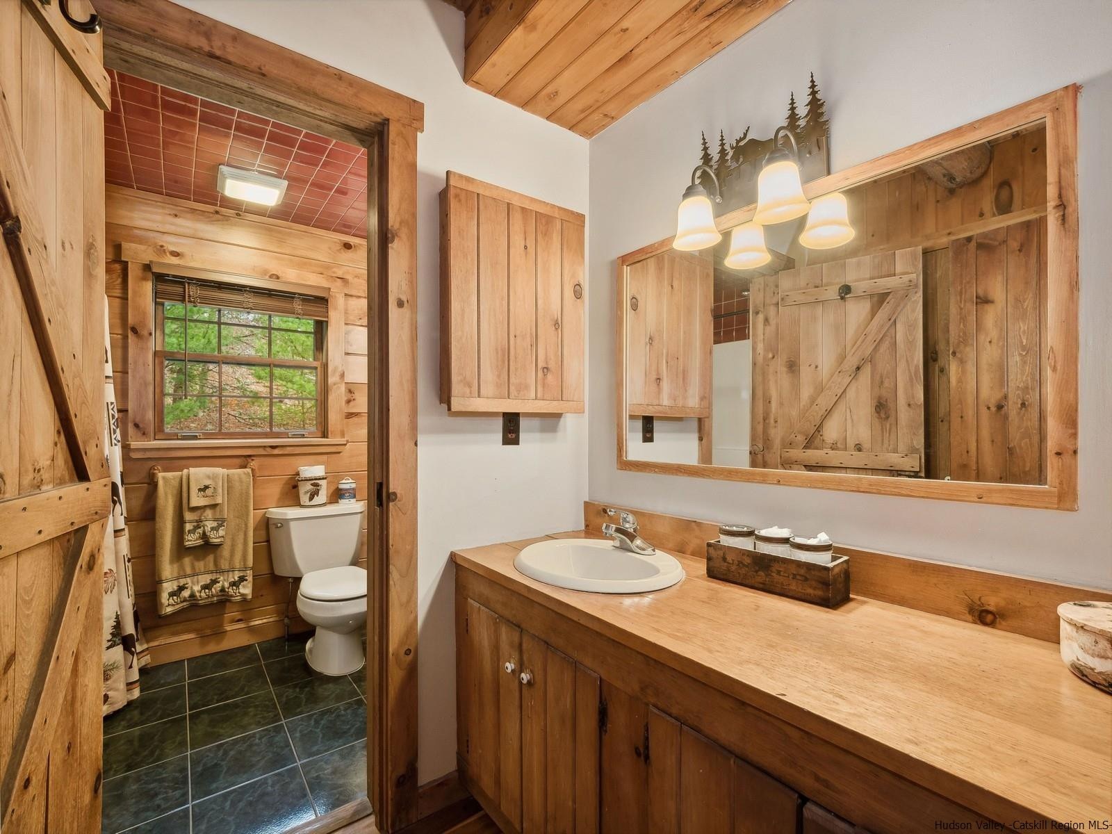 815 Peak Road Stone Ridge, NY 12484 - Photo 21 of 35 a bathroom with a sink a toilet and a shower