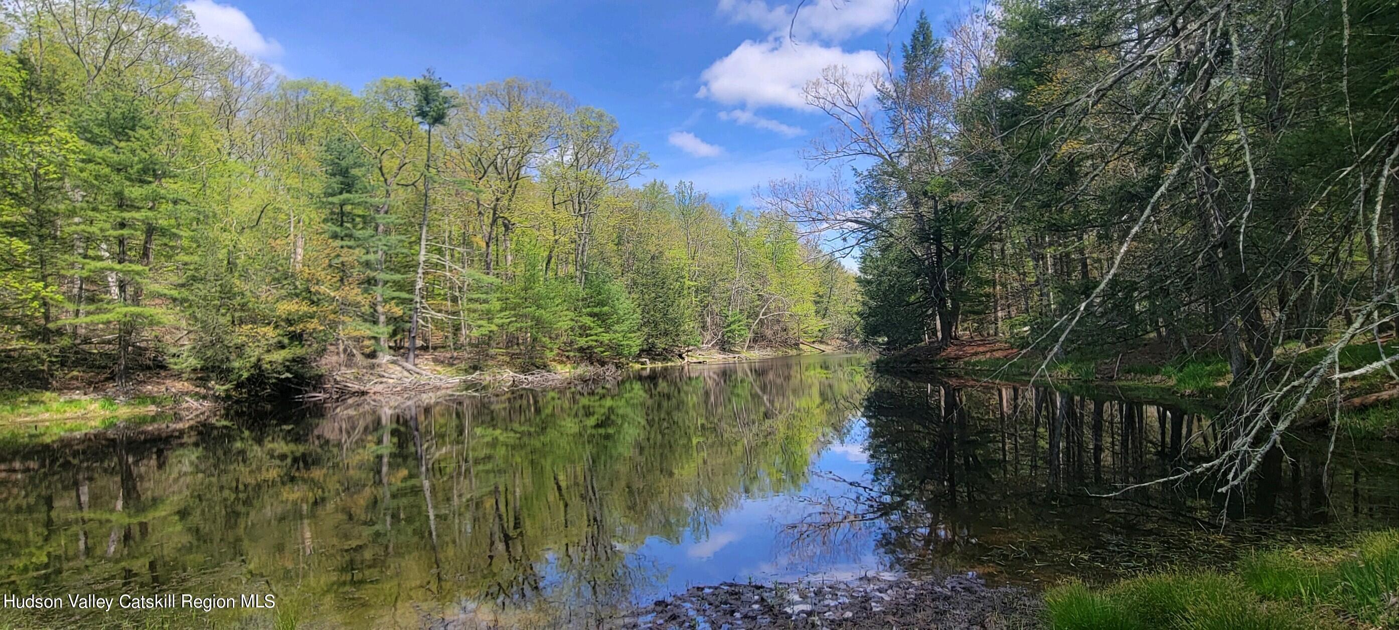 815 Peak Road Stone Ridge, NY 12484 - Photo 3 of 35 a view of a yard