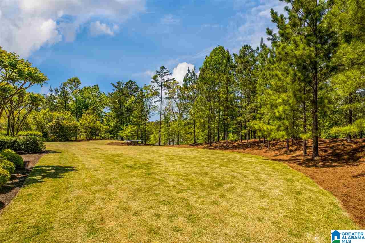 4384 Kings Mountain Ridge Birmingham, AL 35242 - Photo 50 of 50 Gallery Image 50
