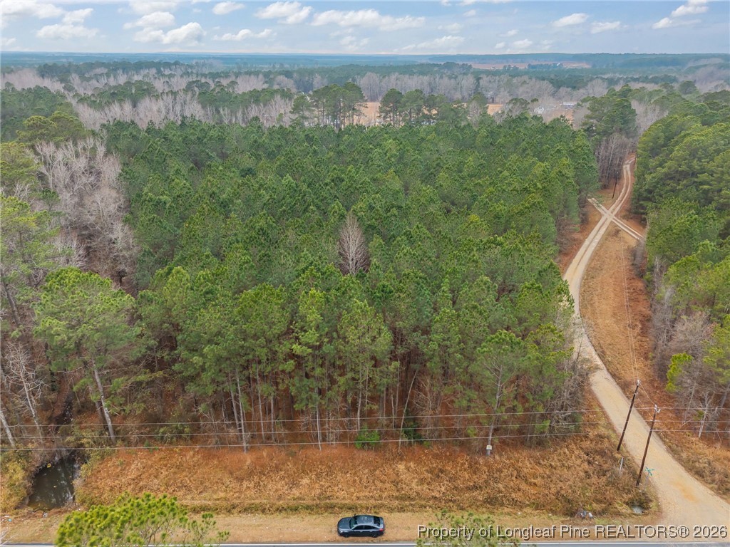 Tbd East Reeves Bridge Road Linden, NC 28356 - Photo 14 of 15 a view of a lake view