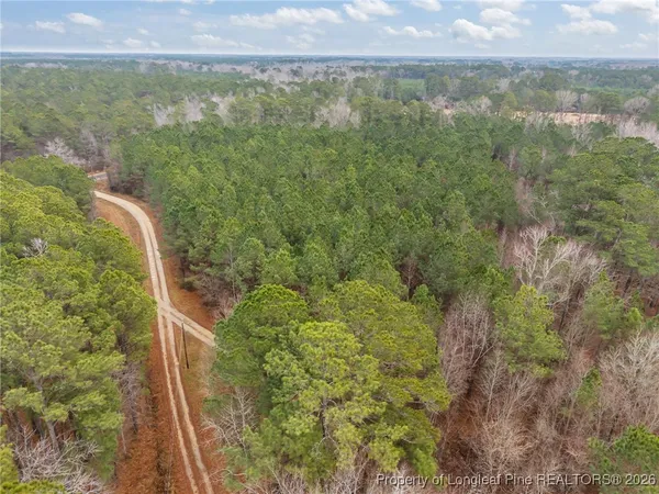 $68,000 | Tbd East Reeves Bridge Road, Linden, NC 28356