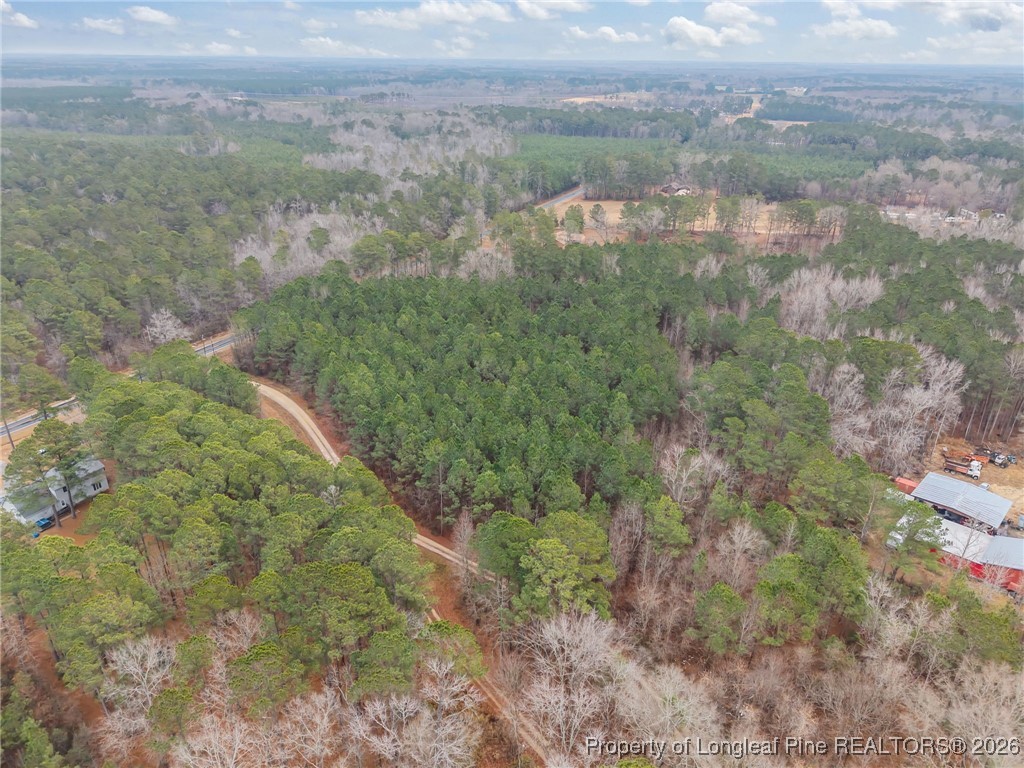 Tbd East Reeves Bridge Road Linden, NC 28356 - Photo 5 of 15 a view of a forest with a yard