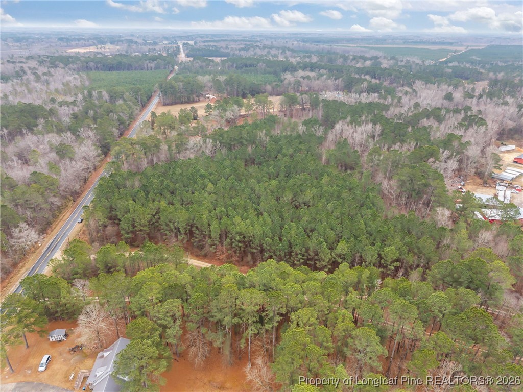Tbd East Reeves Bridge Road Linden, NC 28356 - Photo 6 of 15 a view of a yard
