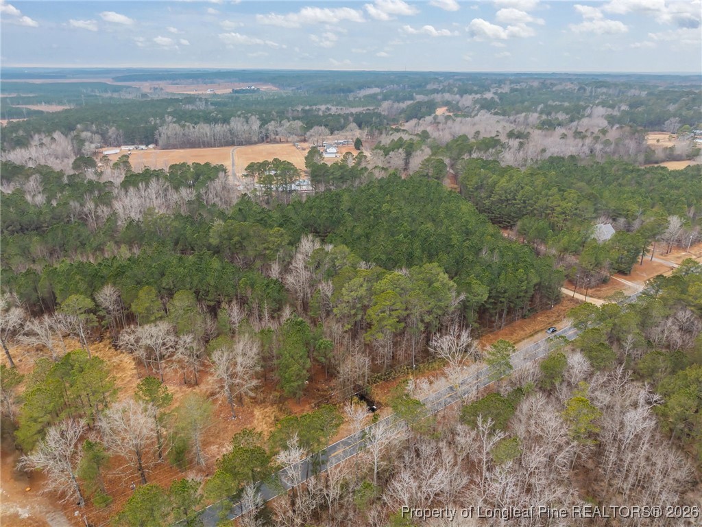 Tbd East Reeves Bridge Road Linden, NC 28356 - Photo 9 of 15 a view of lake with mountain