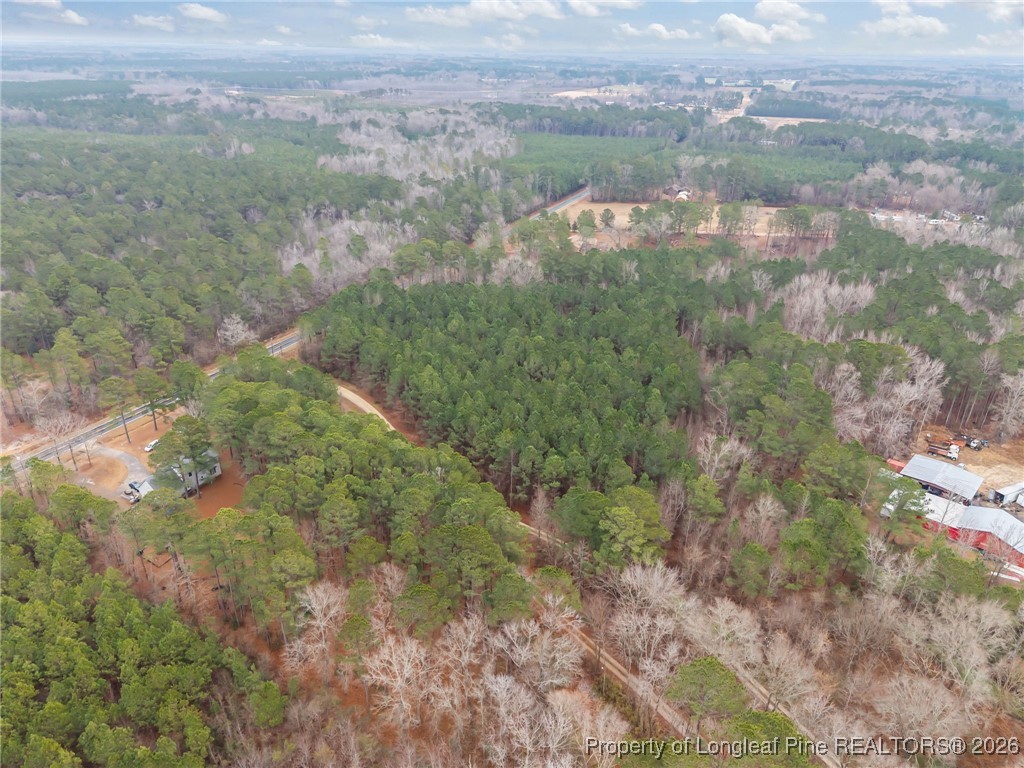 Tbd East Reeves Bridge Road Linden, NC 28356 - Photo 10 of 15