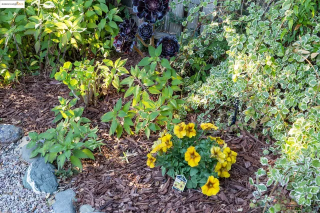 $995,000 | 1622 Belvedere Avenue, Berkeley, CA 94702