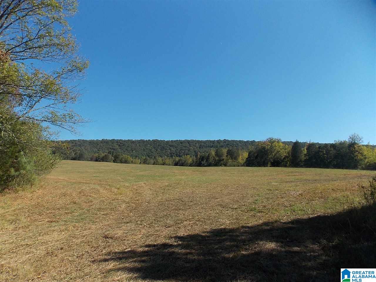 680 Brooks Lane Oneonta, AL 35121 - Photo 2 of 27