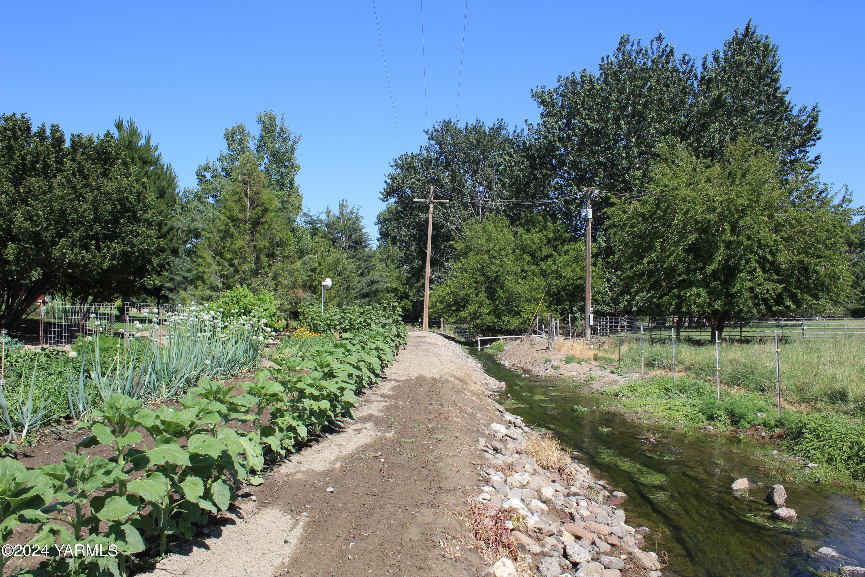 12933 Missimer Road Prosser, WA 99350 - Photo 21 of 39 a view of a park with trees in the background