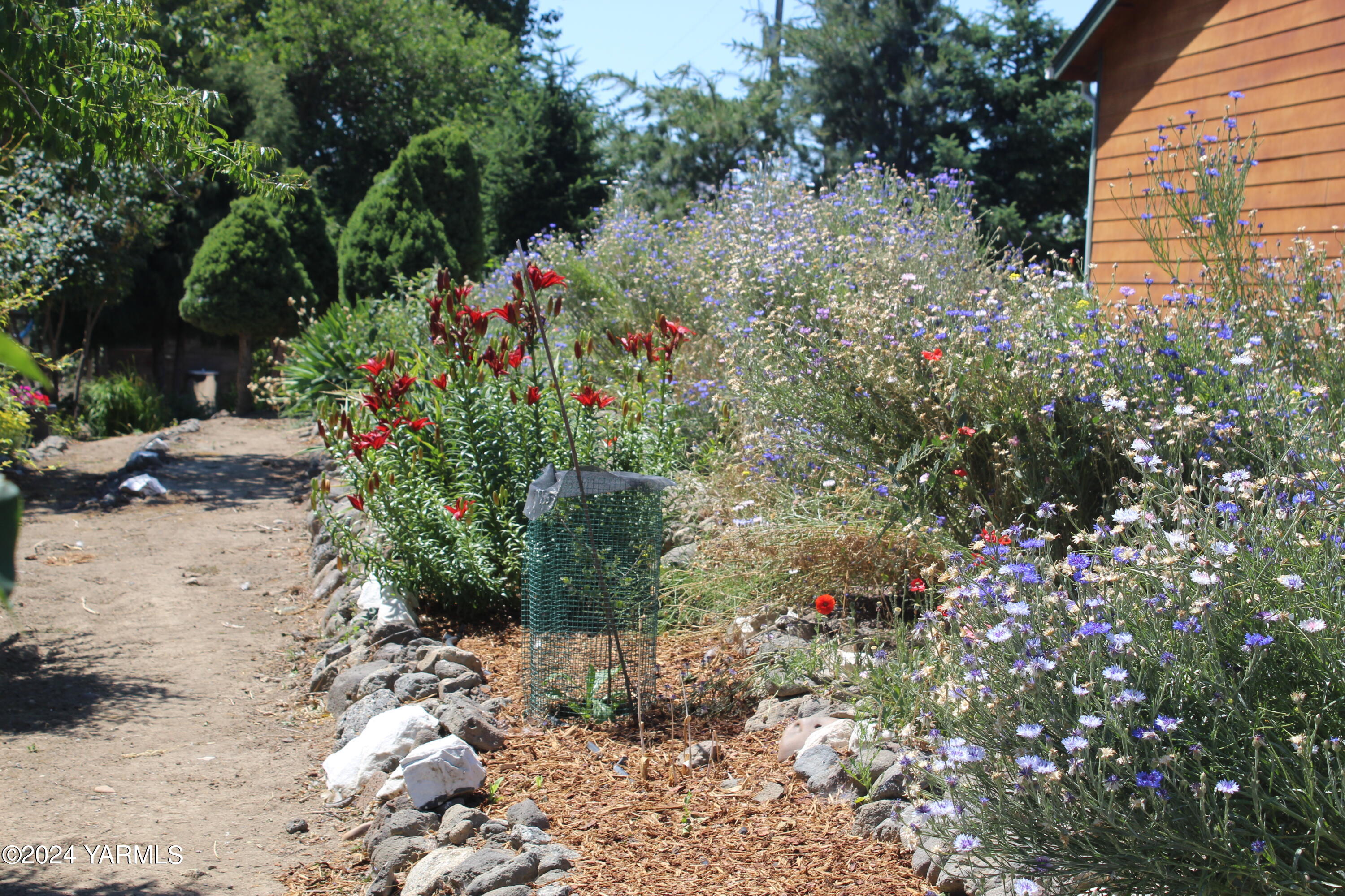 12933 Missimer Road Prosser, WA 99350 - Photo 27 of 39 a picture of flowers