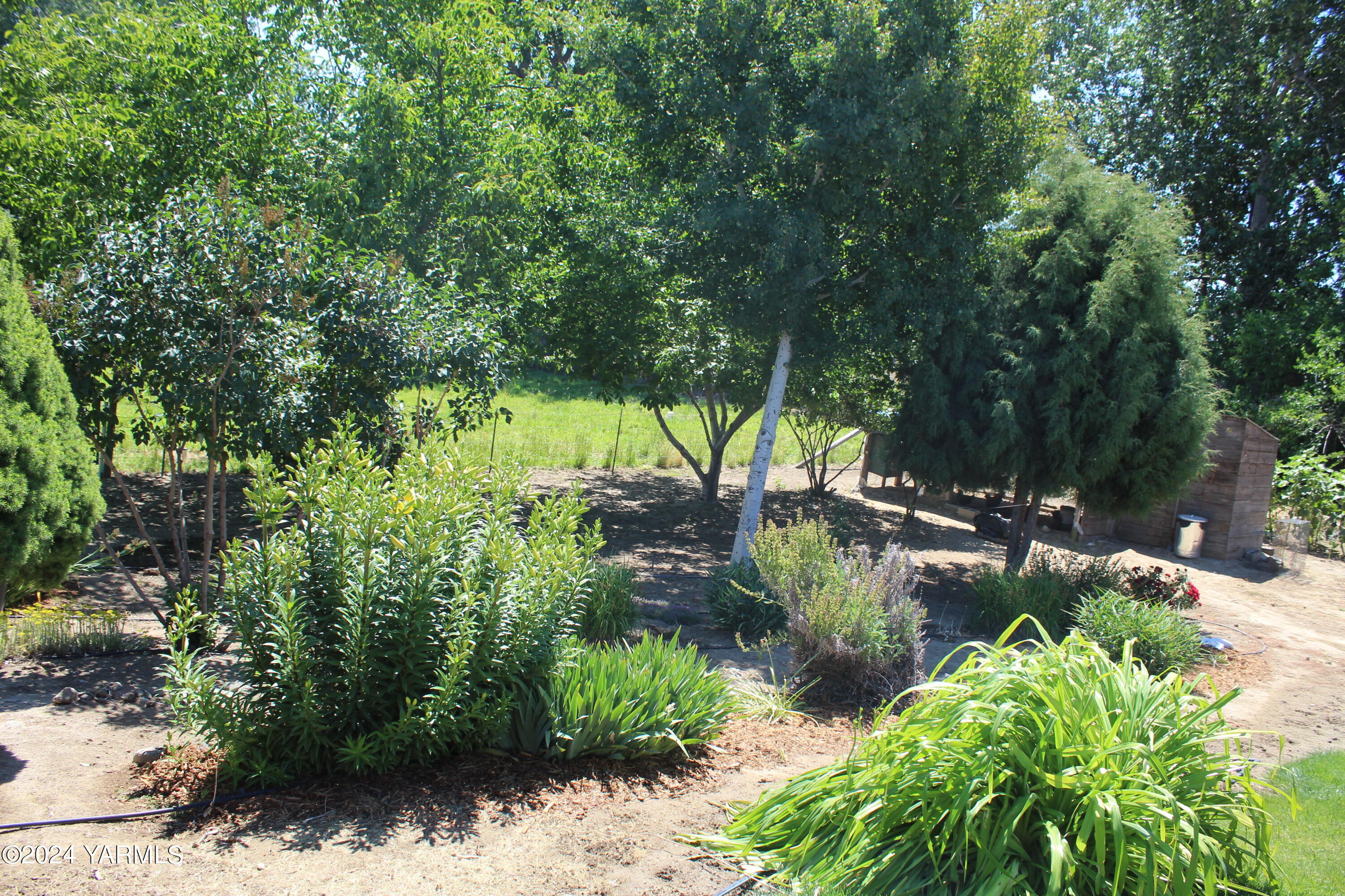 12933 Missimer Road Prosser, WA 99350 - Photo 30 of 39 a view of a garden with plants and a bench