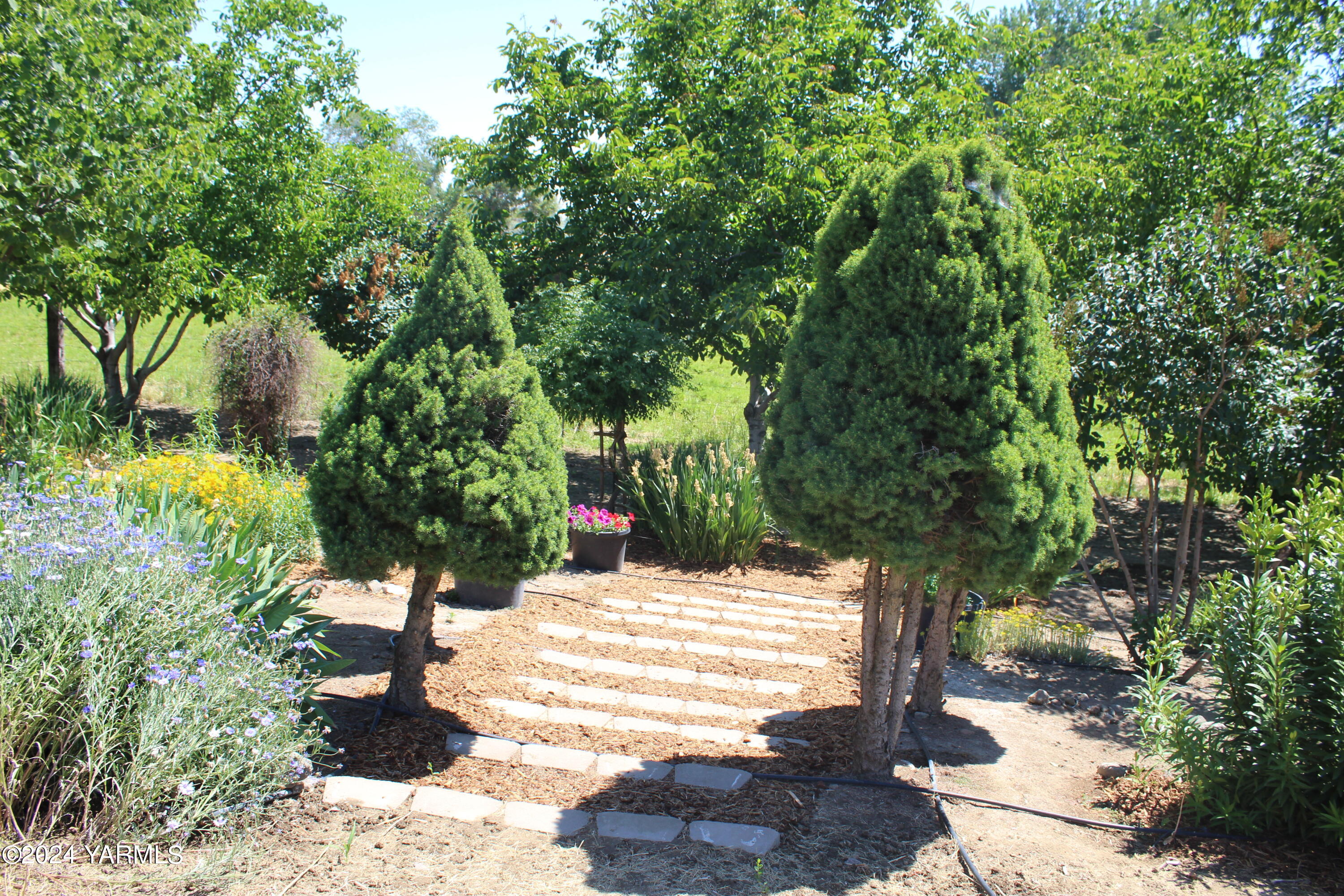 12933 Missimer Road Prosser, WA 99350 - Photo 31 of 39 a view of an outdoor space and a yard