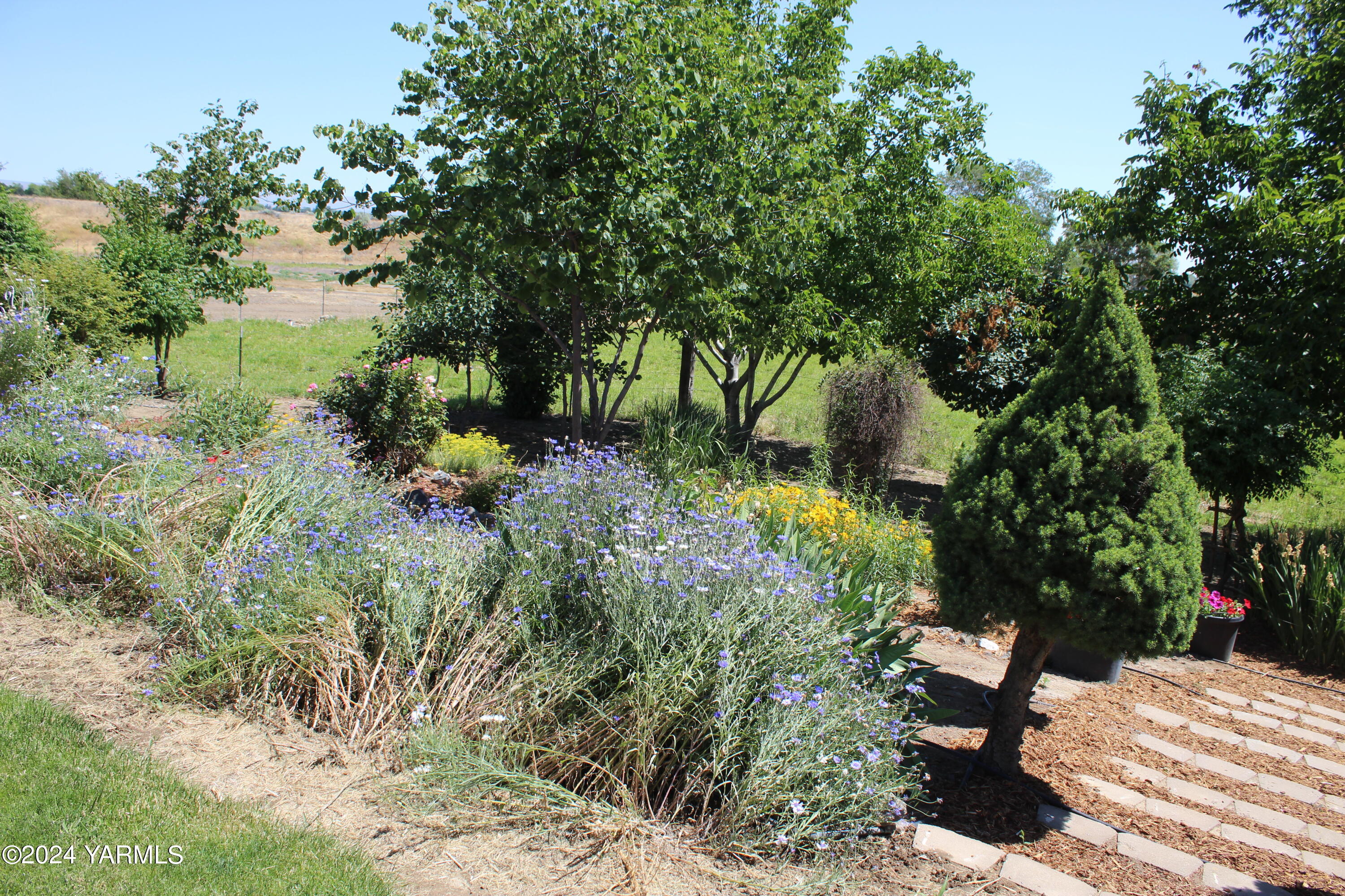 12933 Missimer Road Prosser, WA 99350 - Photo 32 of 39 a view of a garden with plants and large trees