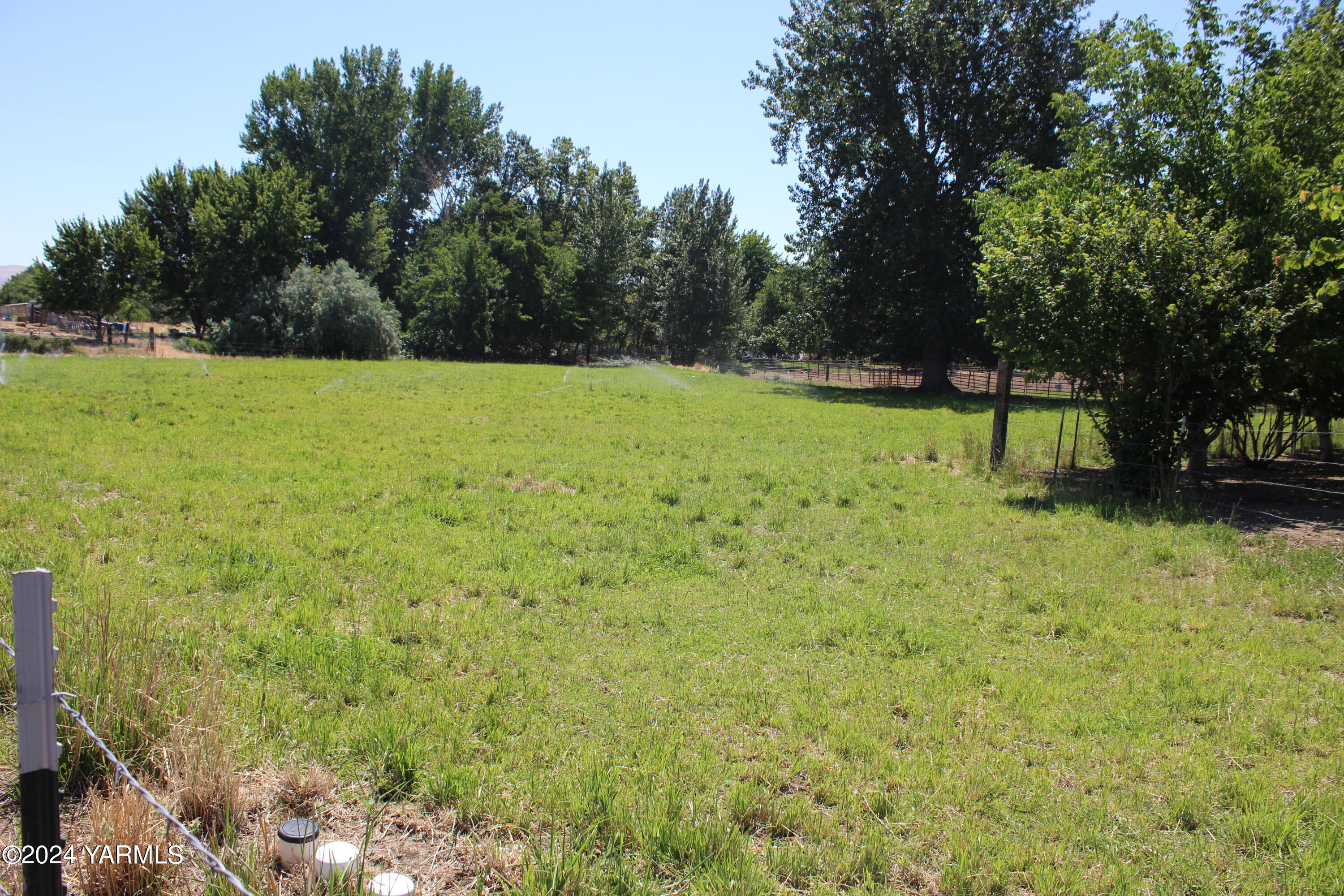 12933 Missimer Road Prosser, WA 99350 - Photo 34 of 39 a view of a garden with trees