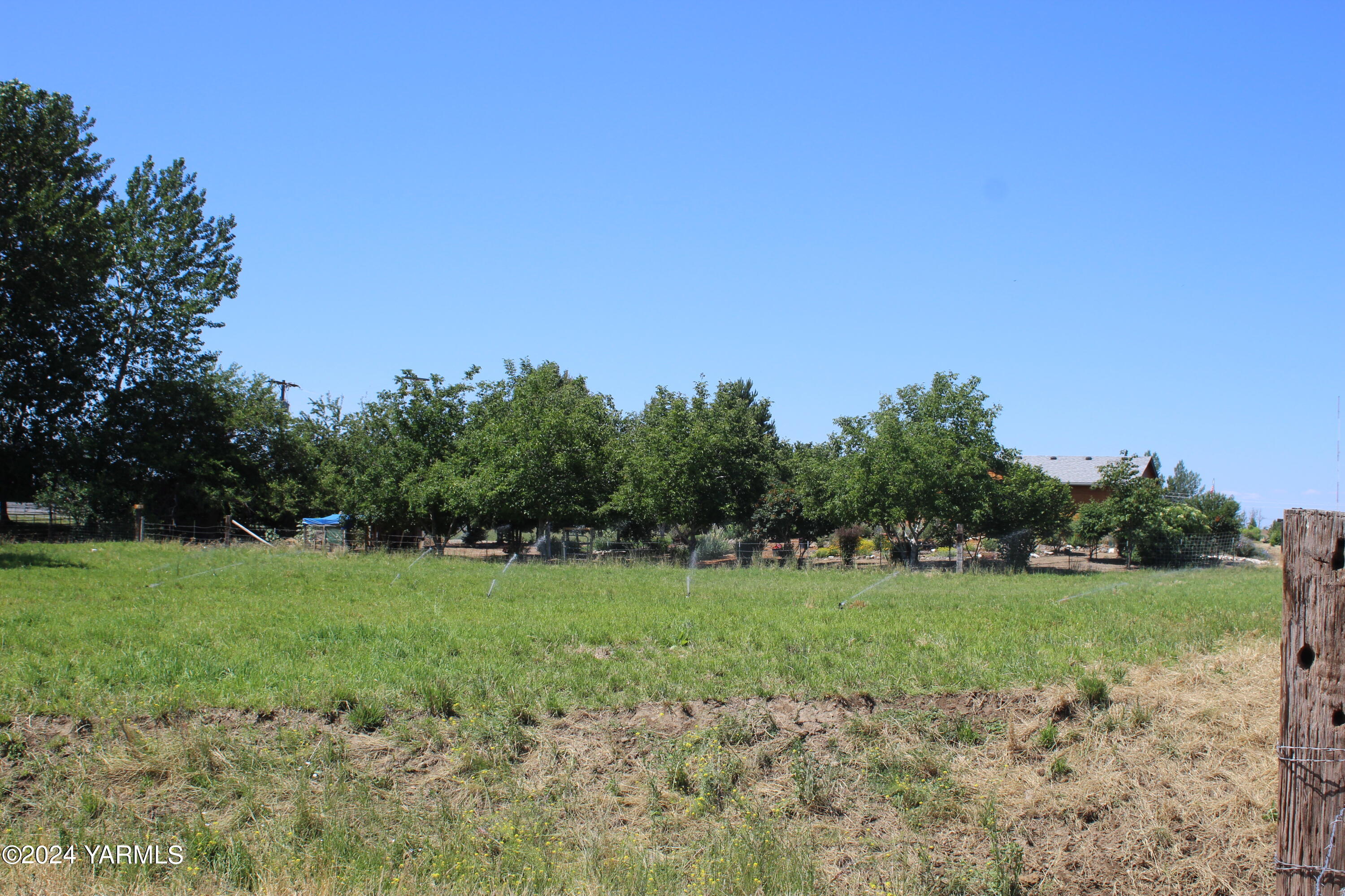 12933 Missimer Road Prosser, WA 99350 - Photo 35 of 39 a view of a grassy field with trees in the background