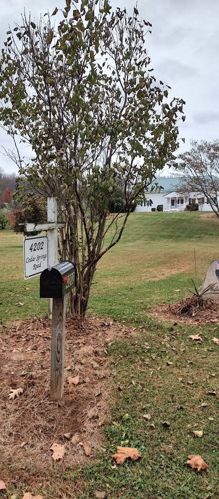 4202 Cedar Springs Road Rural Retreat, VA 24368 - Photo 34 of 34 Gallery Image 34