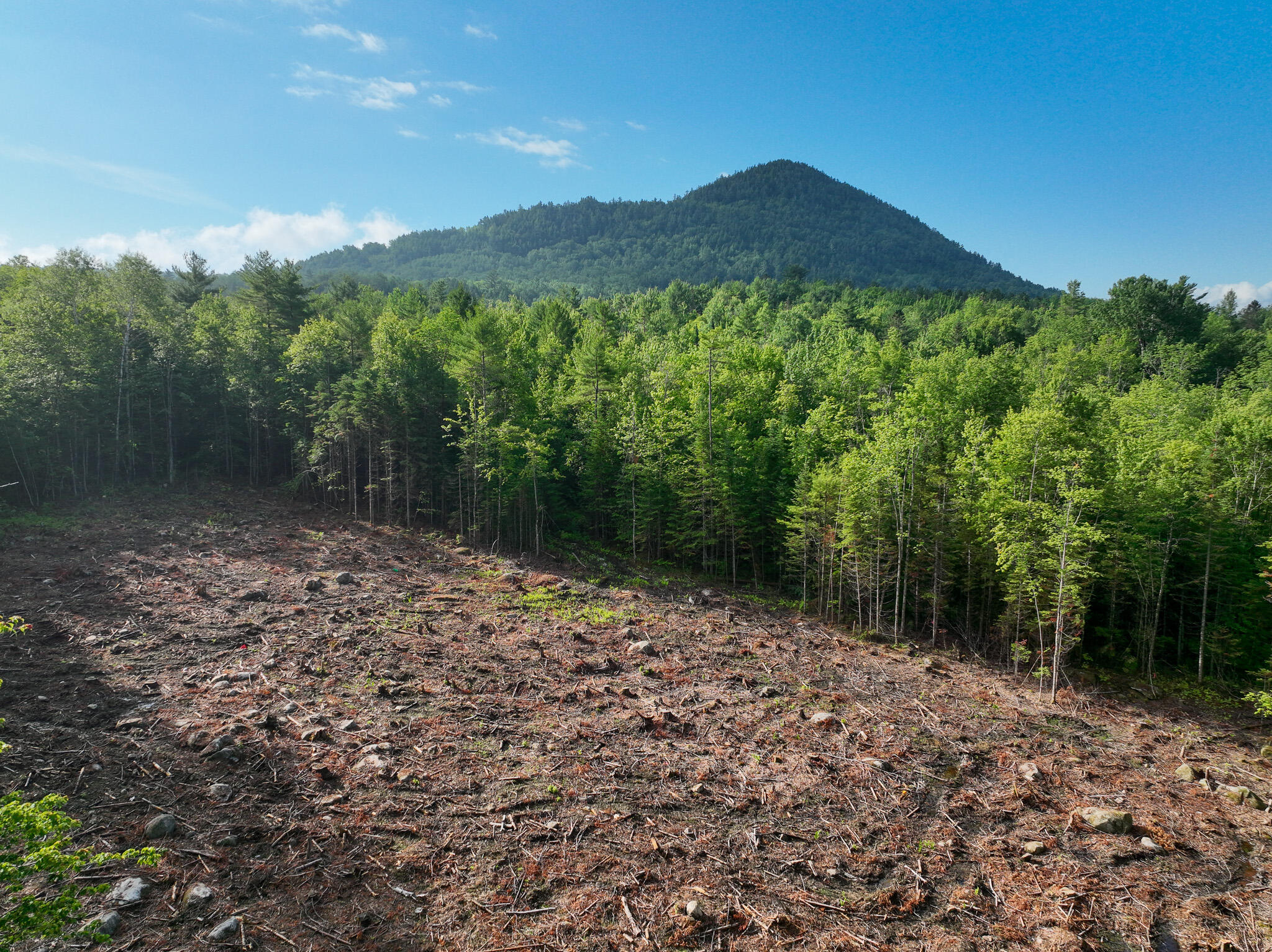 0 Old Country Road Dixfield, ME 04224 - Photo 13 of 17 DJI_0181