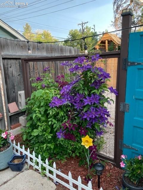 1009 East Monument Street Colorado Springs, CO 80903 - Photo 29 of 38