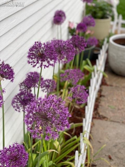 1009 East Monument Street Colorado Springs, CO 80903 - Photo 34 of 38