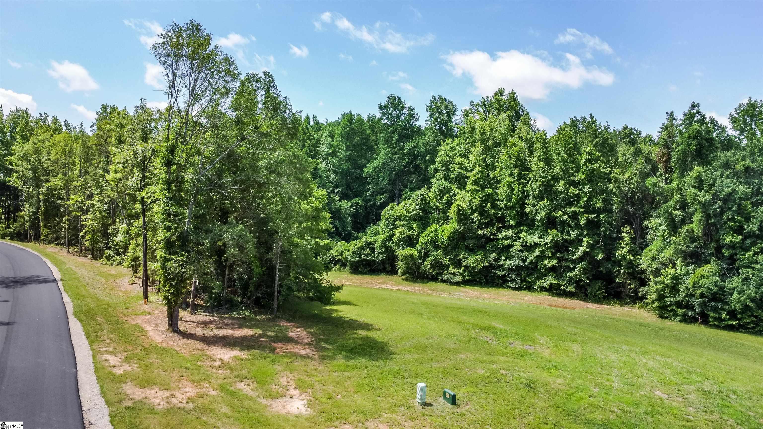 141 Flowing Rock Road, Unit LOT 7 Honea Path, SC 29654 - Photo 7 of 9