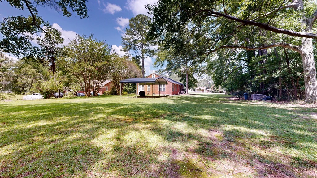 819 Nebula Road Manchester, GA 31816 - Photo 42 of 50 Gallery Image 42