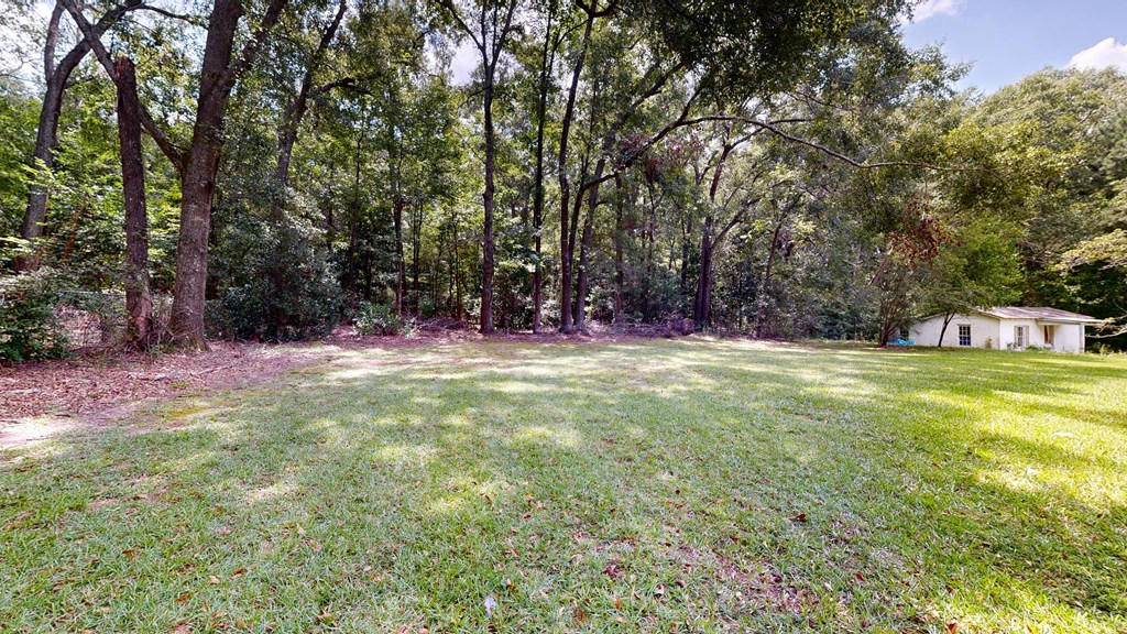 819 Nebula Road Manchester, GA 31816 - Photo 44 of 50 Gallery Image 44