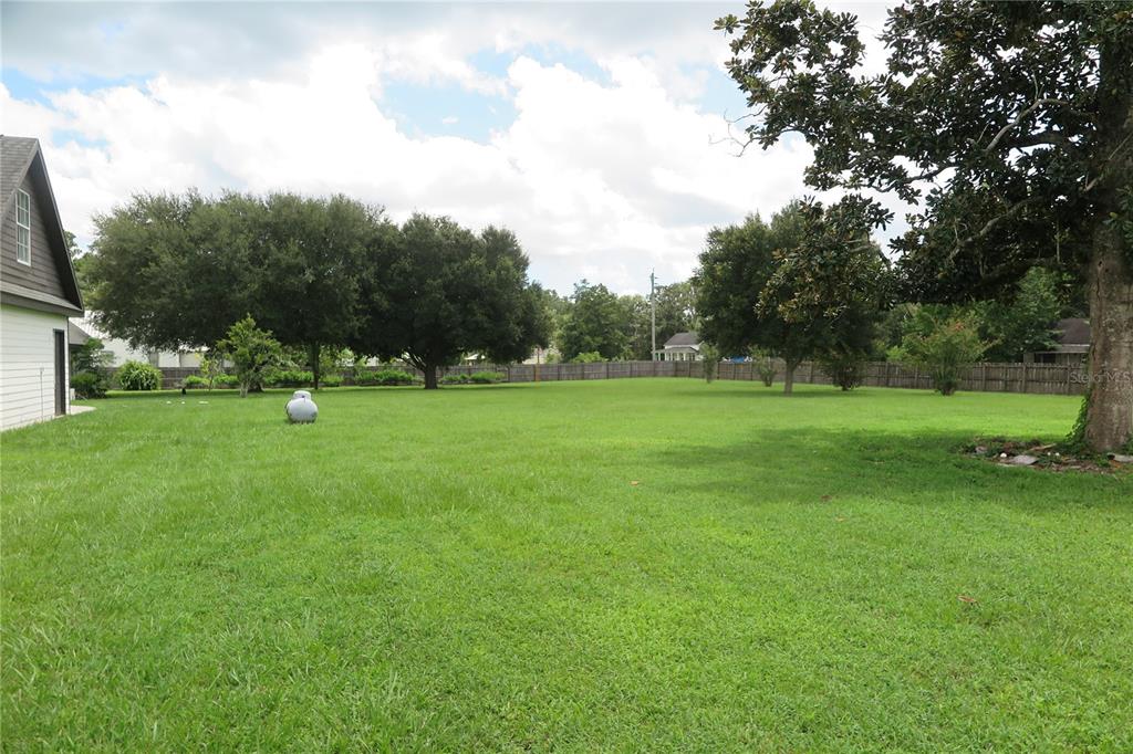 105 Southeast 1st Avenue Lake Butler, FL 32054 - Photo 4 of 69