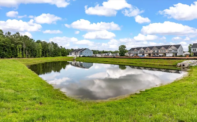 $334,990 | 432 Duskywing Drive, Goose Creek, SC 29445